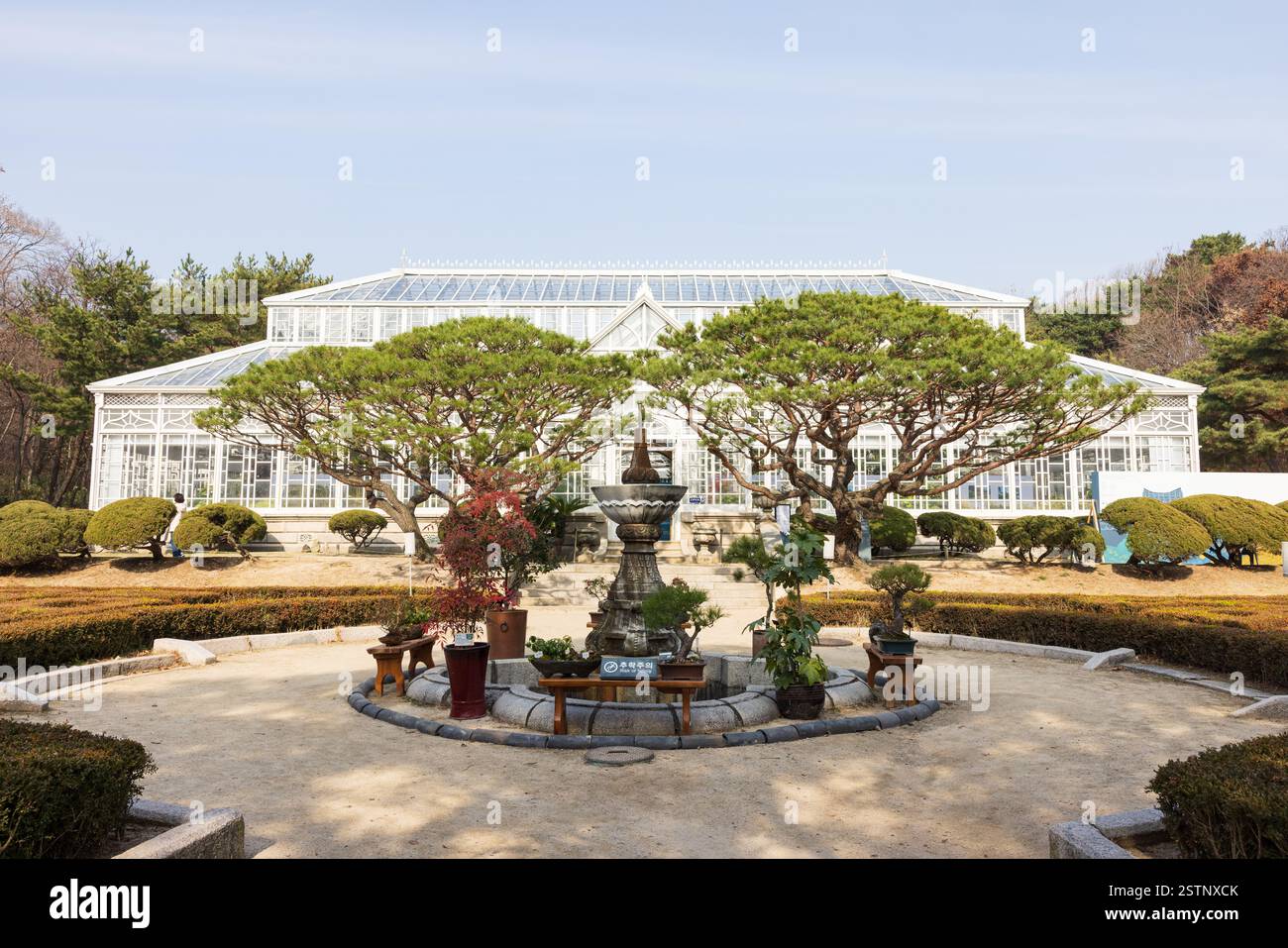 Séoul, Corée du Sud - 25 novembre 2022 : Daeonsil, ou la Grande serre, avec un jardin botanique au palais de Changgyeonggung. Banque D'Images