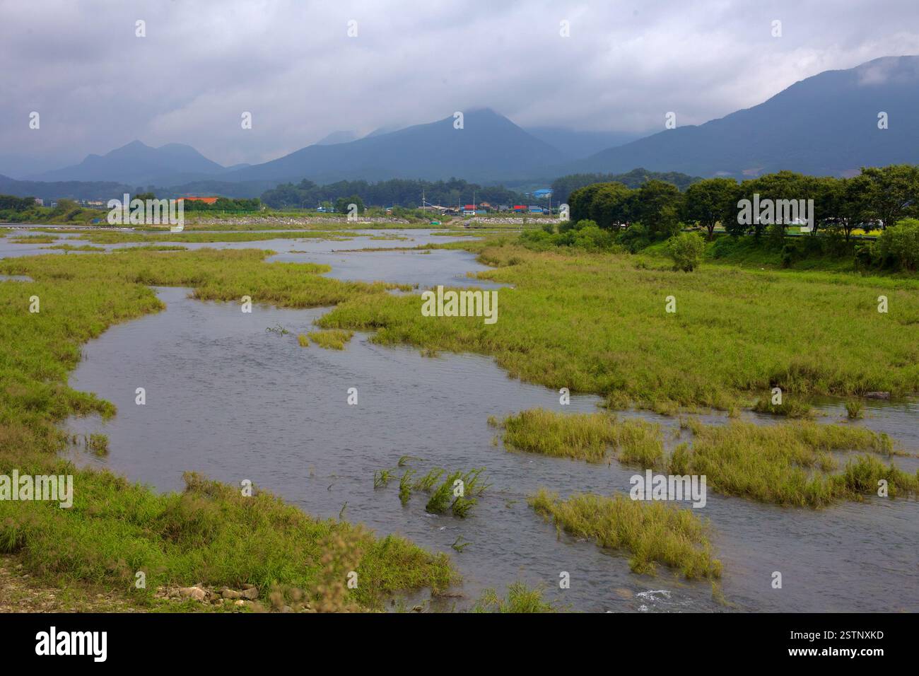 Comté de Goesan, Corée du Sud - 10 septembre 2020 : Dal Stream serpente à travers des zones humides verdoyantes, avec des montagnes lointaines couvertes de brume formant un drame Banque D'Images