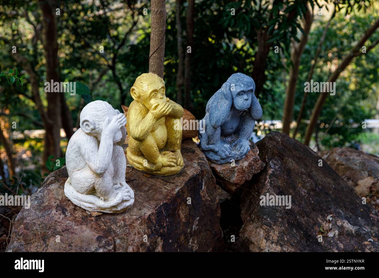 Trois statues de singe sages de couleurs blanc, or et bleu se trouvent sur des rochers naturels au milieu d'une végétation luxuriante, représentant le proverbial 'See no Evil, Hear no e Banque D'Images