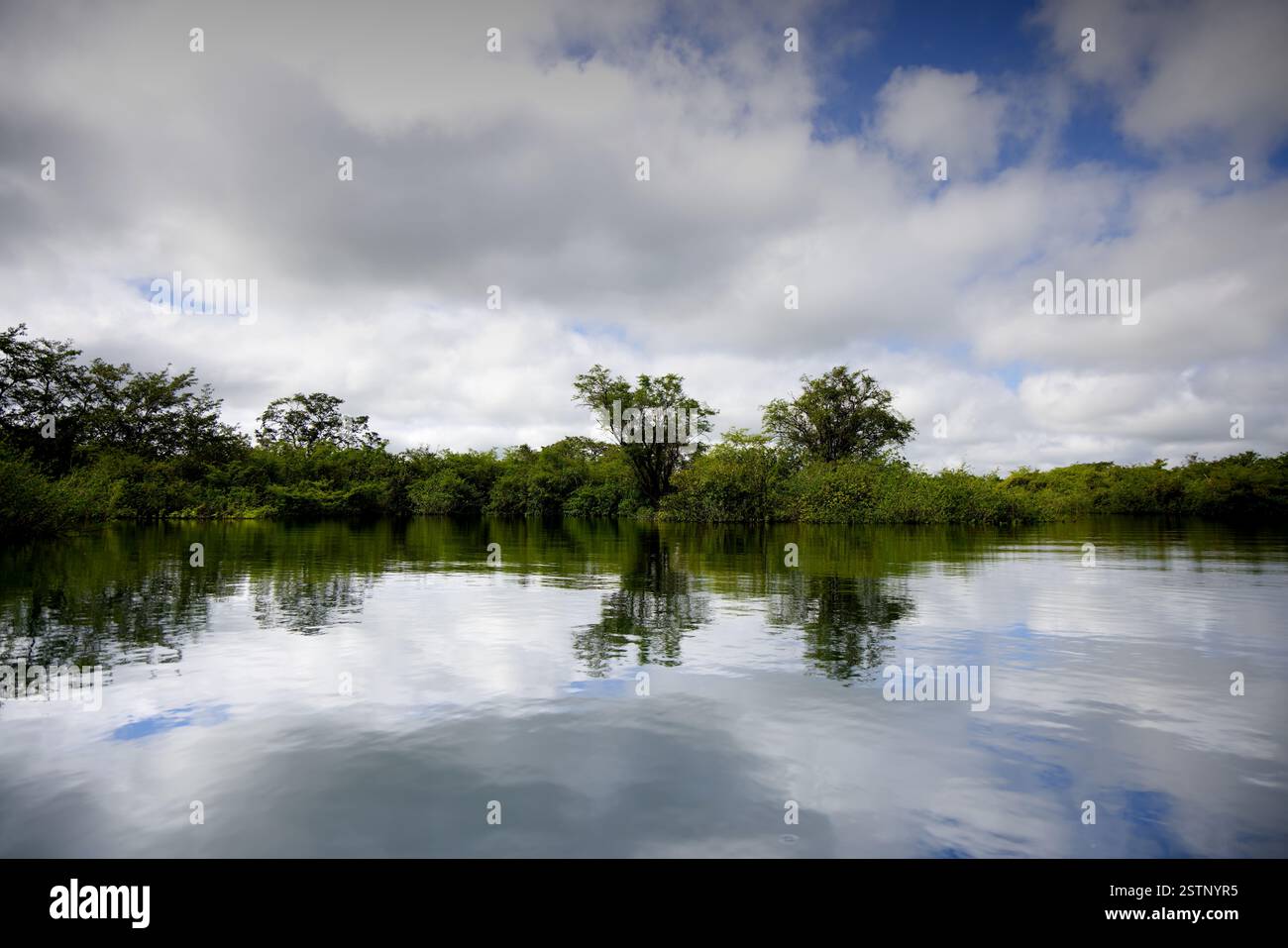 La splendide eau du cratère Azul près de Flores, Guatemala Banque D'Images