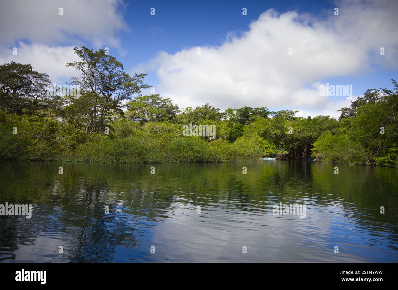 La splendide eau du cratère Azul près de Flores, Guatemala Banque D'Images
