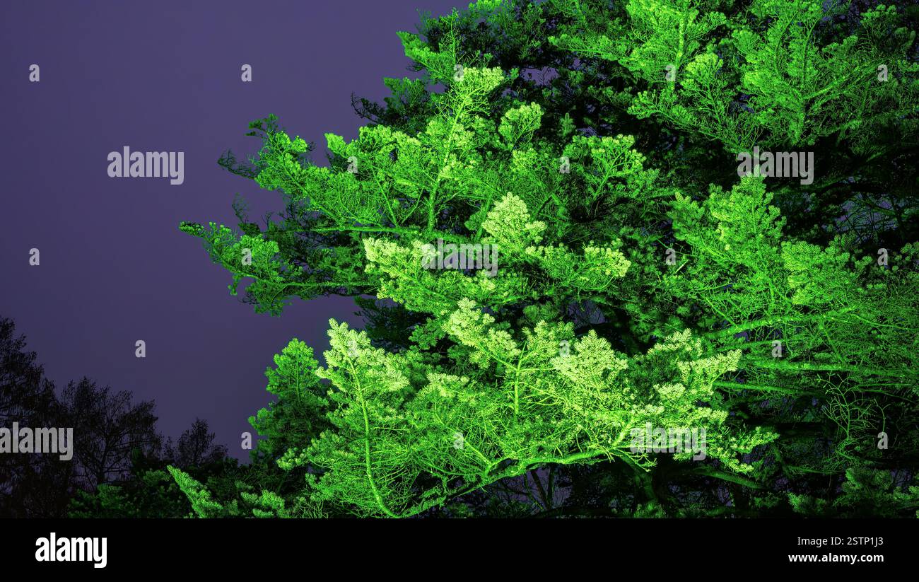 Mainau, Allemagne - 27 décembre 2023 : un jardin de Noël - événement de Noël avec de belles créations lumineuses et illuminations sur l'île de Mainau Banque D'Images Mainau, Allemagne - 27 décembre 2023 : un jardin de Noël - événement de Noël avec de belles créations lumineuses et illuminations sur l'île de Mainau Banque D'Images