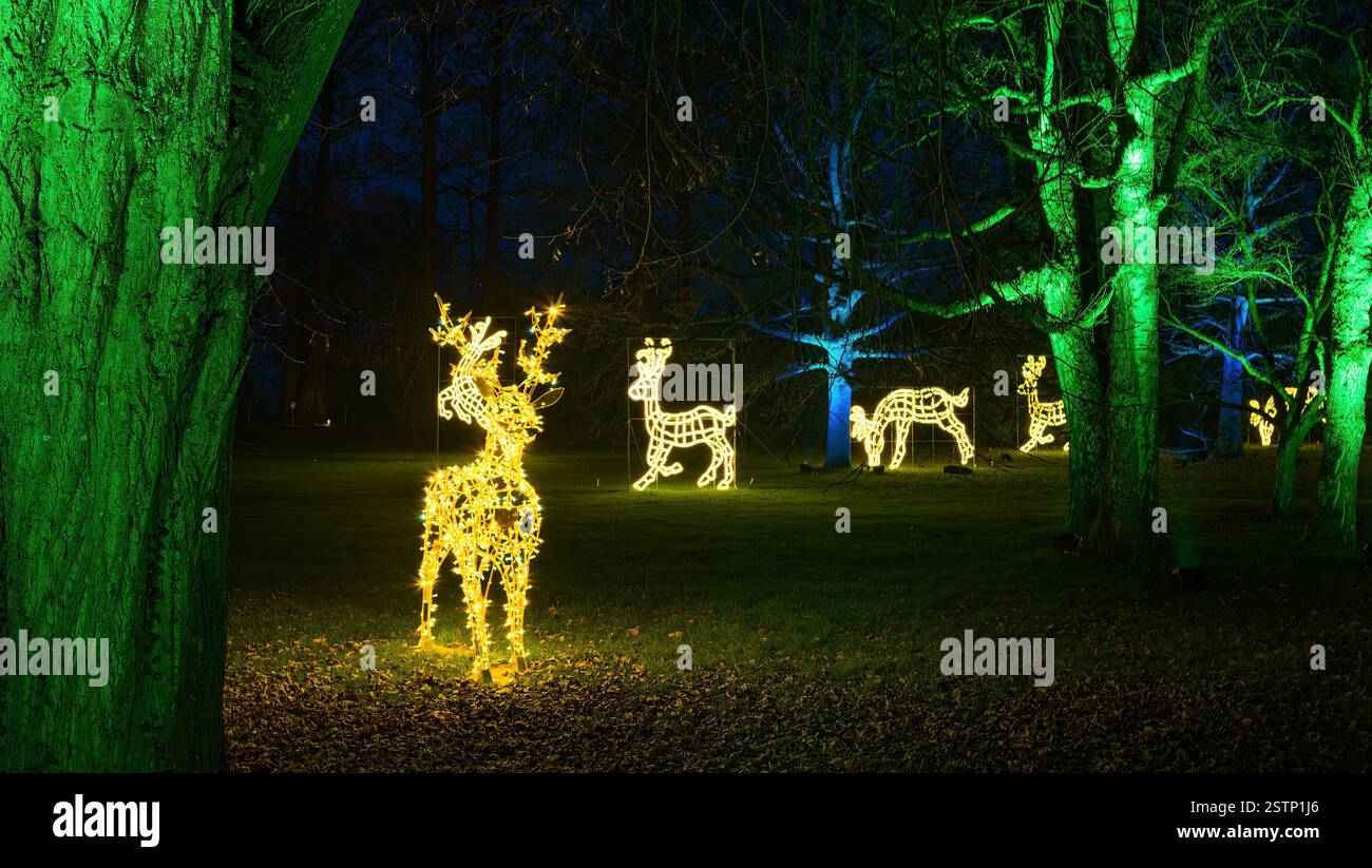 Mainau, Allemagne - 27 décembre 2023 : un jardin de Noël - événement de Noël avec de belles créations lumineuses et illuminations sur l'île de Mainau Banque D'Images Mainau, Allemagne - 27 décembre 2023 : un jardin de Noël - événement de Noël avec de belles créations lumineuses et illuminations sur l'île de Mainau Banque D'Images