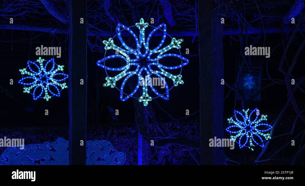 Mainau, Allemagne - 27 décembre 2023 : un jardin de Noël - événement de Noël avec de belles créations lumineuses et illuminations sur l'île de Mainau Banque D'Images Mainau, Allemagne - 27 décembre 2023 : un jardin de Noël - événement de Noël avec de belles créations lumineuses et illuminations sur l'île de Mainau Banque D'Images