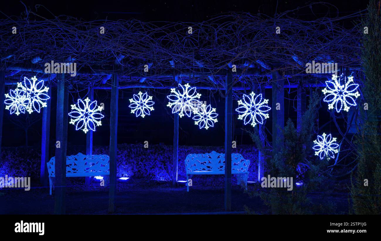 Mainau, Allemagne - 27 décembre 2023 : un jardin de Noël - événement de Noël avec de belles créations lumineuses et illuminations sur l'île de Mainau Banque D'Images Mainau, Allemagne - 27 décembre 2023 : un jardin de Noël - événement de Noël avec de belles créations lumineuses et illuminations sur l'île de Mainau Banque D'Images