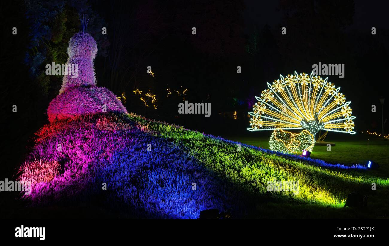 Mainau, Allemagne - 27 décembre 2023 : un jardin de Noël - événement de Noël avec de belles créations lumineuses et illuminations sur l'île de Mainau Banque D'Images Mainau, Allemagne - 27 décembre 2023 : un jardin de Noël - événement de Noël avec de belles créations lumineuses et illuminations sur l'île de Mainau Banque D'Images
