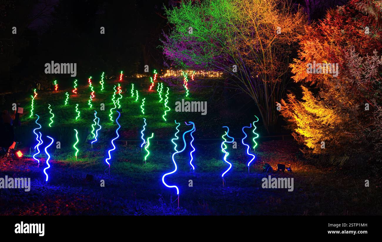 Mainau, Allemagne - 27 décembre 2023 : un jardin de Noël - événement de Noël avec de belles créations lumineuses et illuminations sur l'île de Mainau Banque D'Images Mainau, Allemagne - 27 décembre 2023 : un jardin de Noël - événement de Noël avec de belles créations lumineuses et illuminations sur l'île de Mainau Banque D'Images