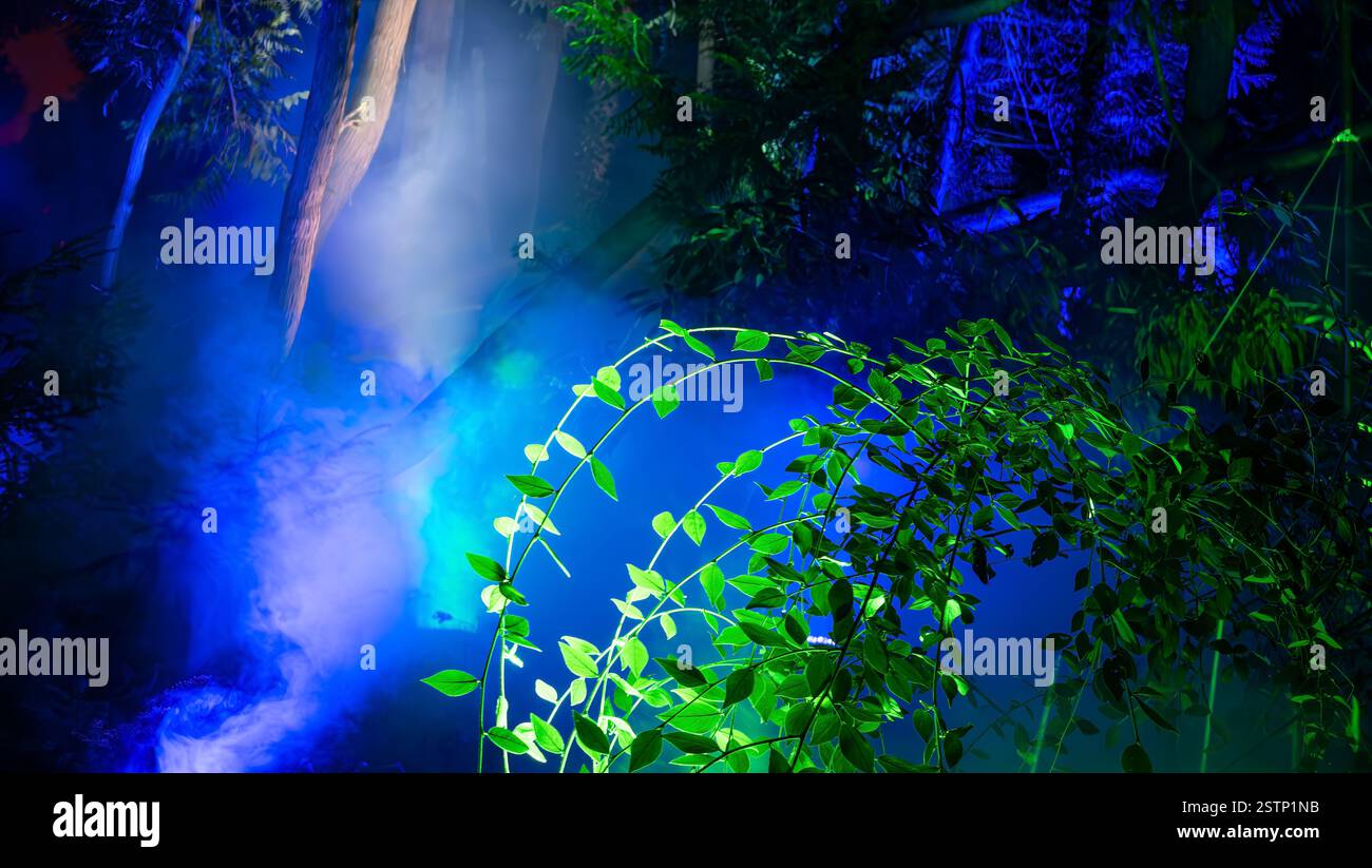 Mainau, Allemagne - 27 décembre 2023 : un jardin de Noël - événement de Noël avec de belles créations lumineuses et illuminations sur l'île de Mainau Banque D'Images Mainau, Allemagne - 27 décembre 2023 : un jardin de Noël - événement de Noël avec de belles créations lumineuses et illuminations sur l'île de Mainau Banque D'Images