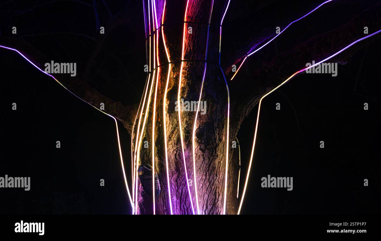 Mainau, Allemagne - 27 décembre 2023 : un jardin de Noël - événement de Noël avec de belles créations lumineuses et illuminations sur l'île de Mainau Banque D'Images Mainau, Allemagne - 27 décembre 2023 : un jardin de Noël - événement de Noël avec de belles créations lumineuses et illuminations sur l'île de Mainau Banque D'Images