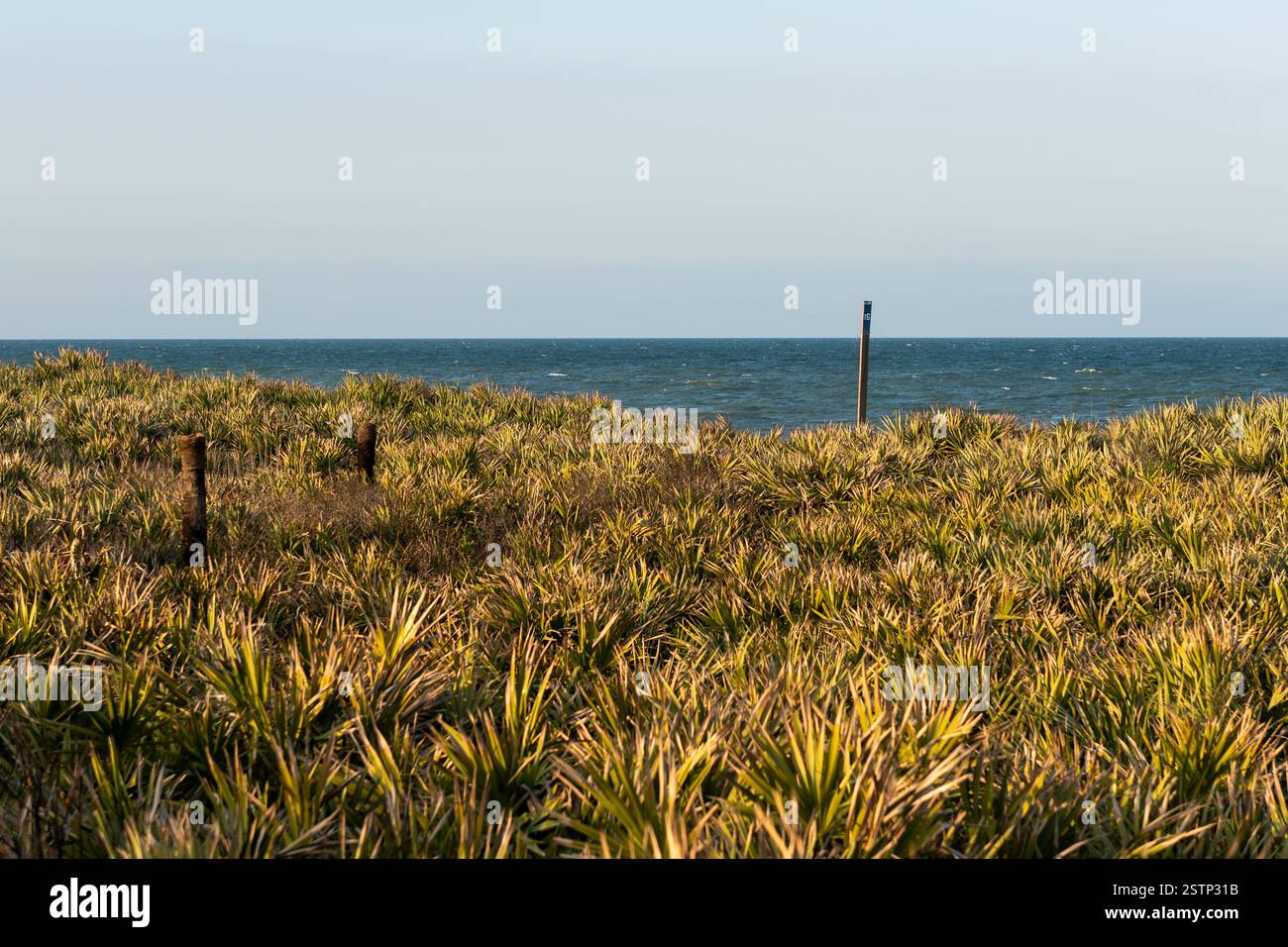 Canaveral National Seashore vue de la végétation côtière et de l'océan Atlantique, comté de Volusia, Floride, États-Unis. Banque D'Images Canaveral National Seashore vue de la végétation côtière et de l'océan Atlantique, comté de Volusia, Floride, États-Unis. Banque D'Images
