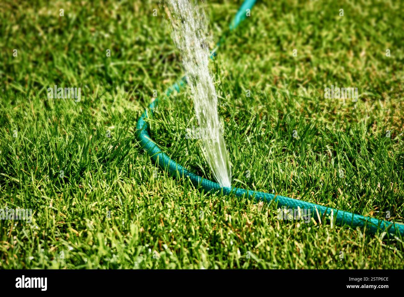 Arroseur de pelouse DIY travaillant dans l'herbe répandant l'eau sur toute la zone, copyspace Banque D'Images