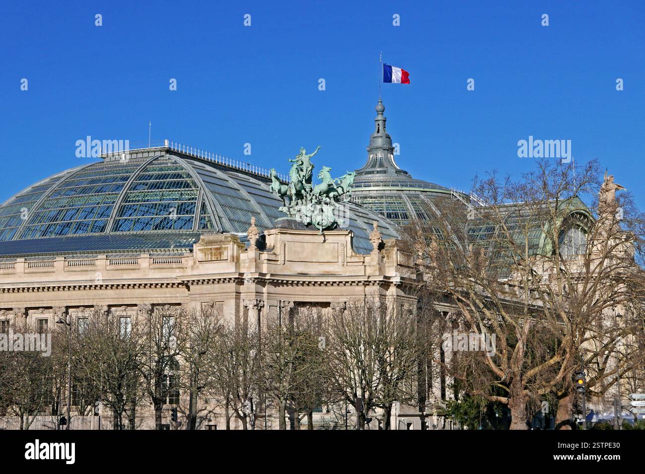 Grand Palais, Paris, France, Europe Banque D'Images