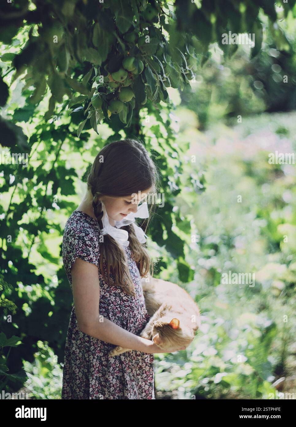 Fille avec des tresses regardant amoureusement son chat au gingembre à l'extérieur avec un effet de bruit Banque D'Images