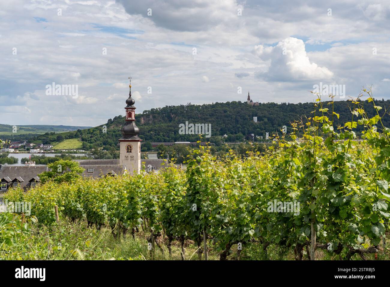 Tour de l'horloge cloche de l'église catholique Jakobus et Rhin River avec Rudesheim dans le Barckground Banque D'Images