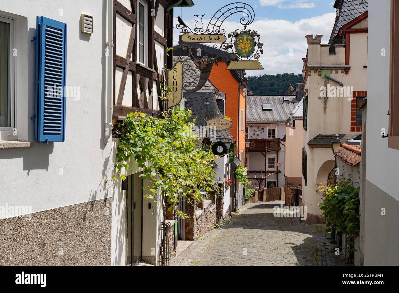 Rüdesheim am Rhein, Allemagne – 11 juin 2024 : rue pavée dans le centre de Rüdesheim am Rhein, une ville historique sur le Rhin en Allemagne Banque D'Images