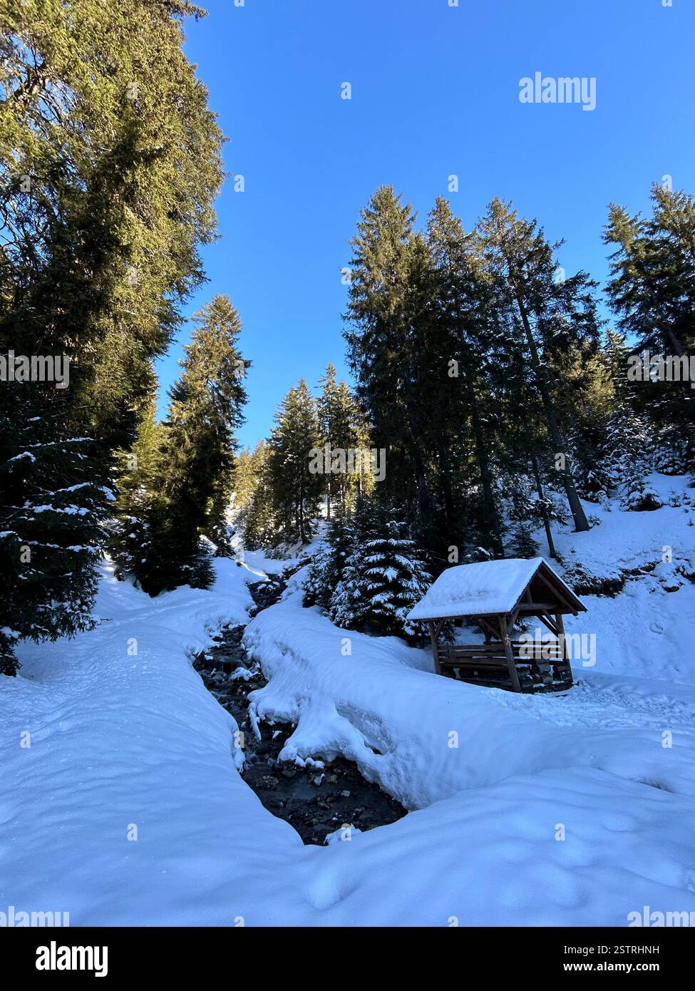 Winter Wonderland vous attend ! Neige fraîche, chemins givrés, soleil doré et magie pure : votre escapade hivernale rêveuse, ici ! - Image de stock capturée avec un smartphone