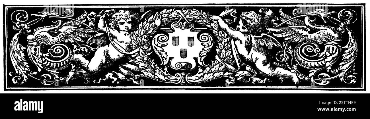 Décoration abstraite, séparateur de chapitre dans un livre. Illustration du XIXe siècle. Fond blanc. Banque D'Images