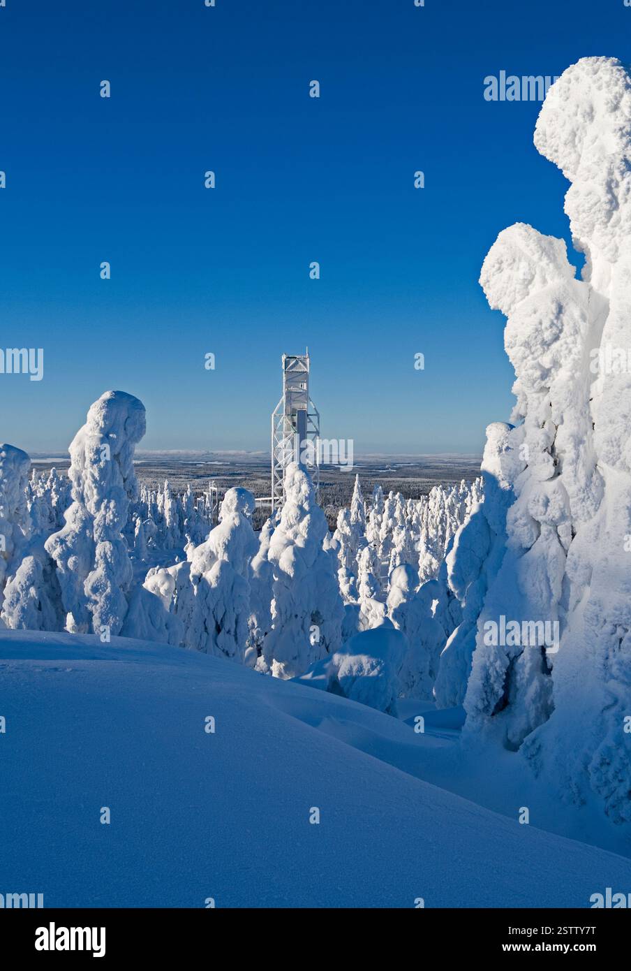 Kuusamo, Finlande : magnifique vue à l'ouest depuis le sommet de Saarua avec la grande tour de saut à ski dans le domaine skiable de Ruka sur la Laponie Banque D'Images