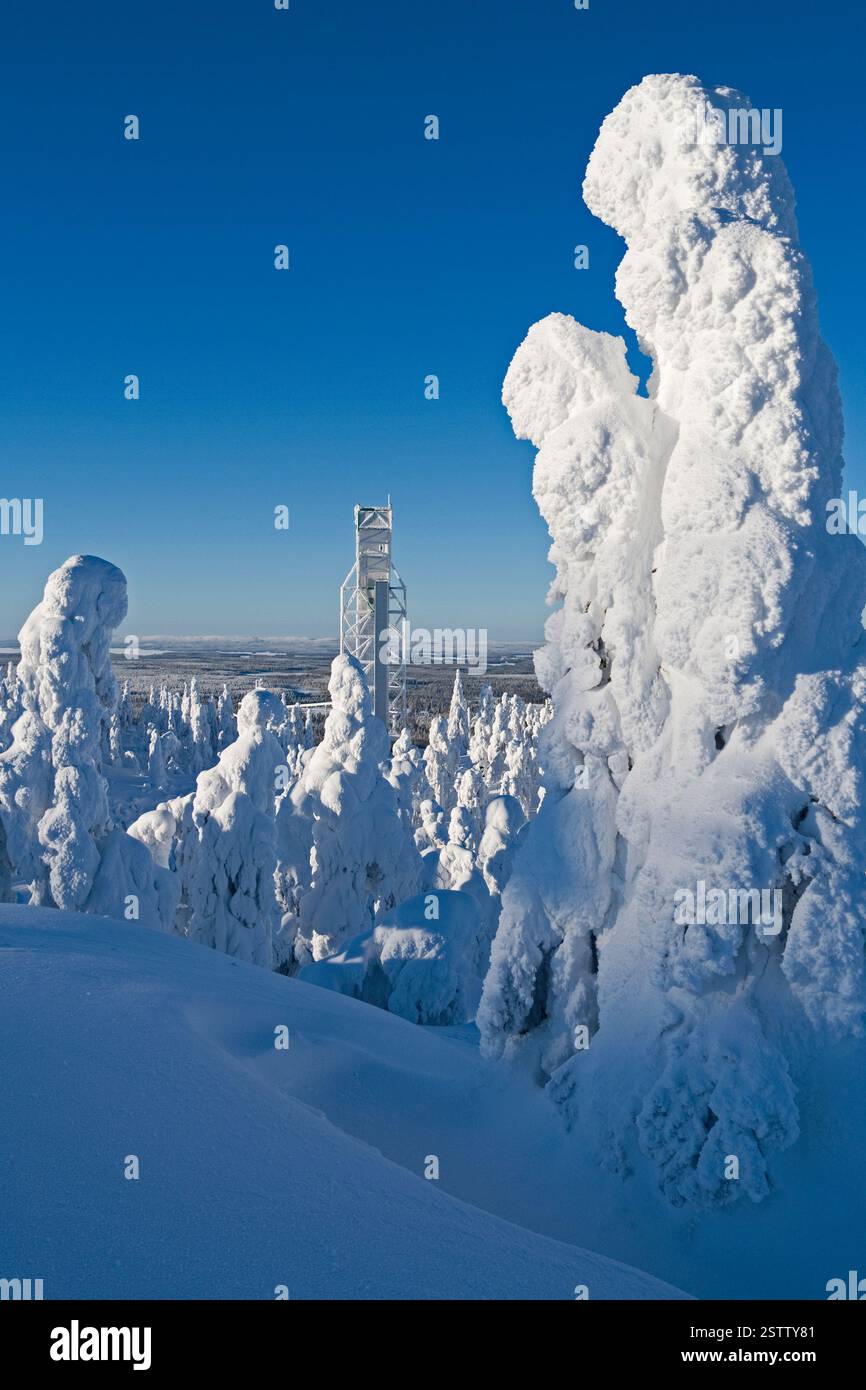 Kuusamo, Finlande : magnifique vue à l'ouest depuis le sommet de Saarua avec la grande tour de saut à ski dans le domaine skiable de Ruka sur la Laponie Banque D'Images