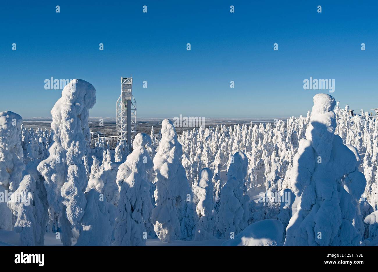 Kuusamo, Finlande : magnifique vue à l'ouest depuis le sommet de Saarua avec la grande tour de saut à ski dans le domaine skiable de Ruka sur la Laponie Banque D'Images