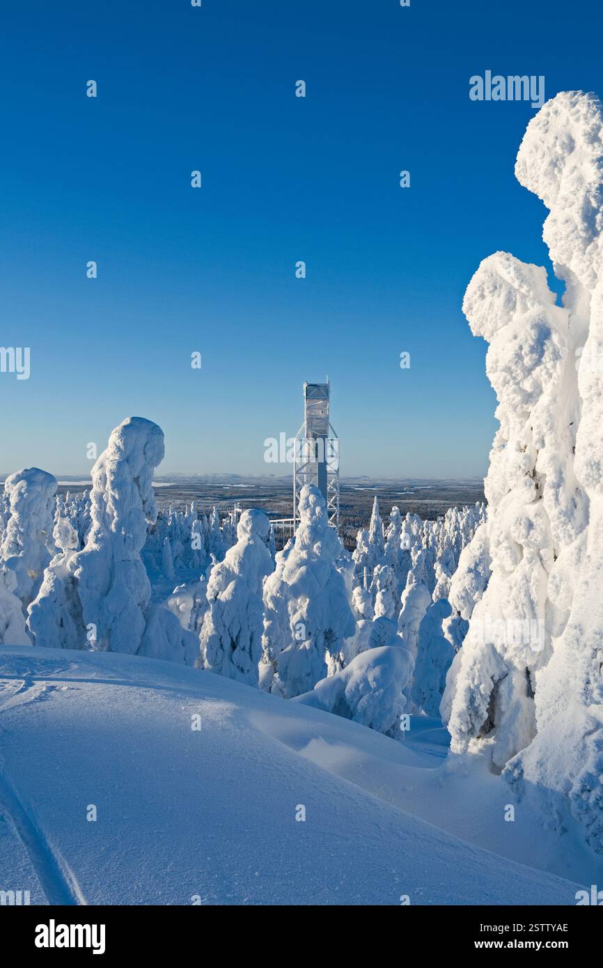 Kuusamo, Finlande : magnifique vue à l'ouest depuis le sommet de Saarua avec la grande tour de saut à ski dans le domaine skiable de Ruka sur la Laponie Banque D'Images