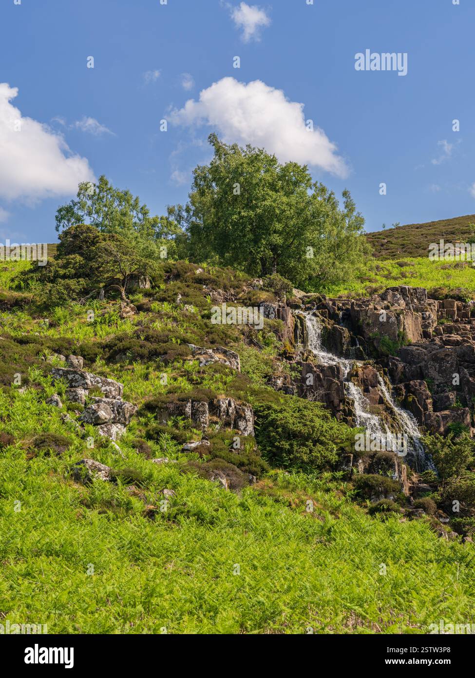 La Bleabeck Force près de la rivière Tees, comté de Durham, Angleterre, Royaume-Uni Banque D'Images