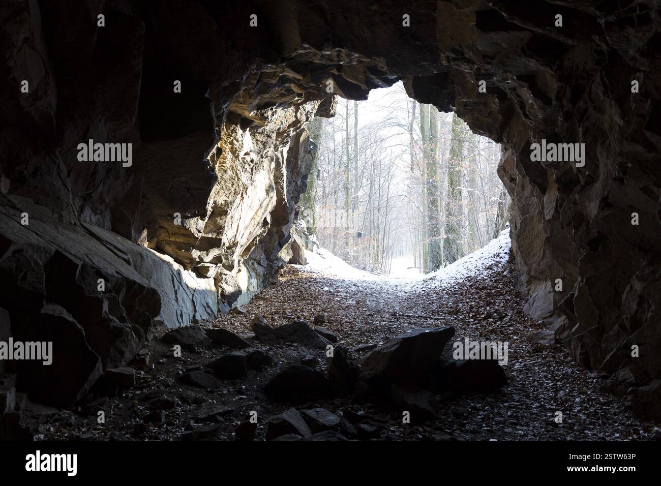 Tunnel de Hohburg à Friedewald près de Moritzburg, Saxe, Allemagne, Europe Banque D'Images