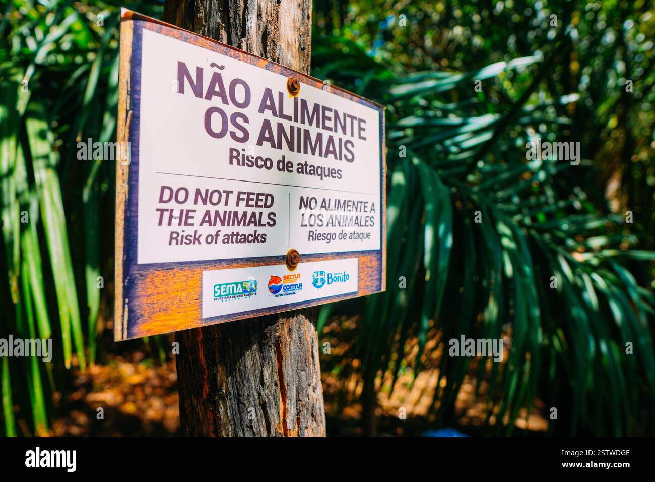 21 mars 2024, Brésil. Signe dit ne pas nourrir les animaux - risque d'attaques, dans la station municipale, à Bonito, dans le Mato Grosso Banque D'Images