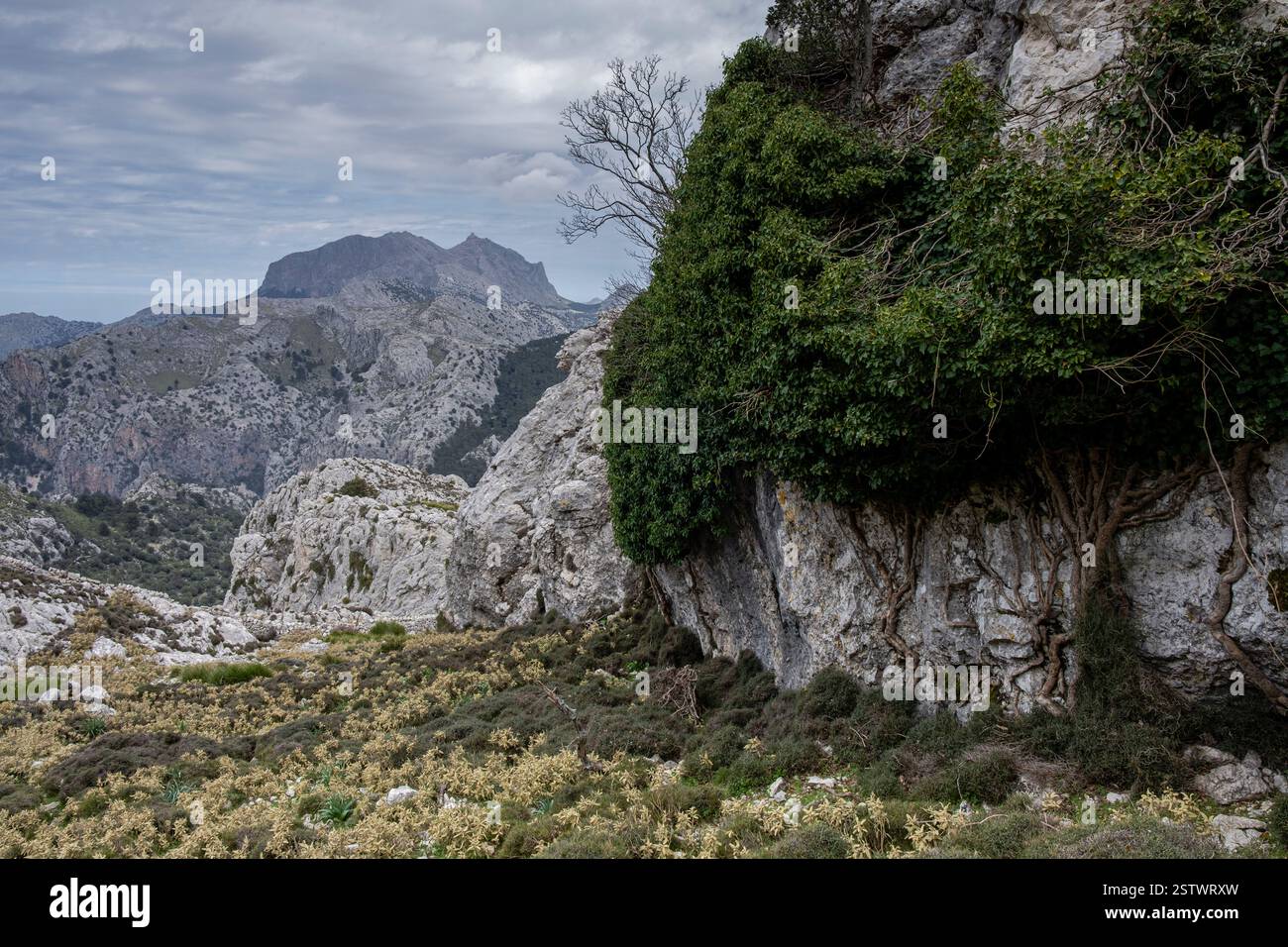 Chaîne de montagnes Tramuntana Banque D'Images