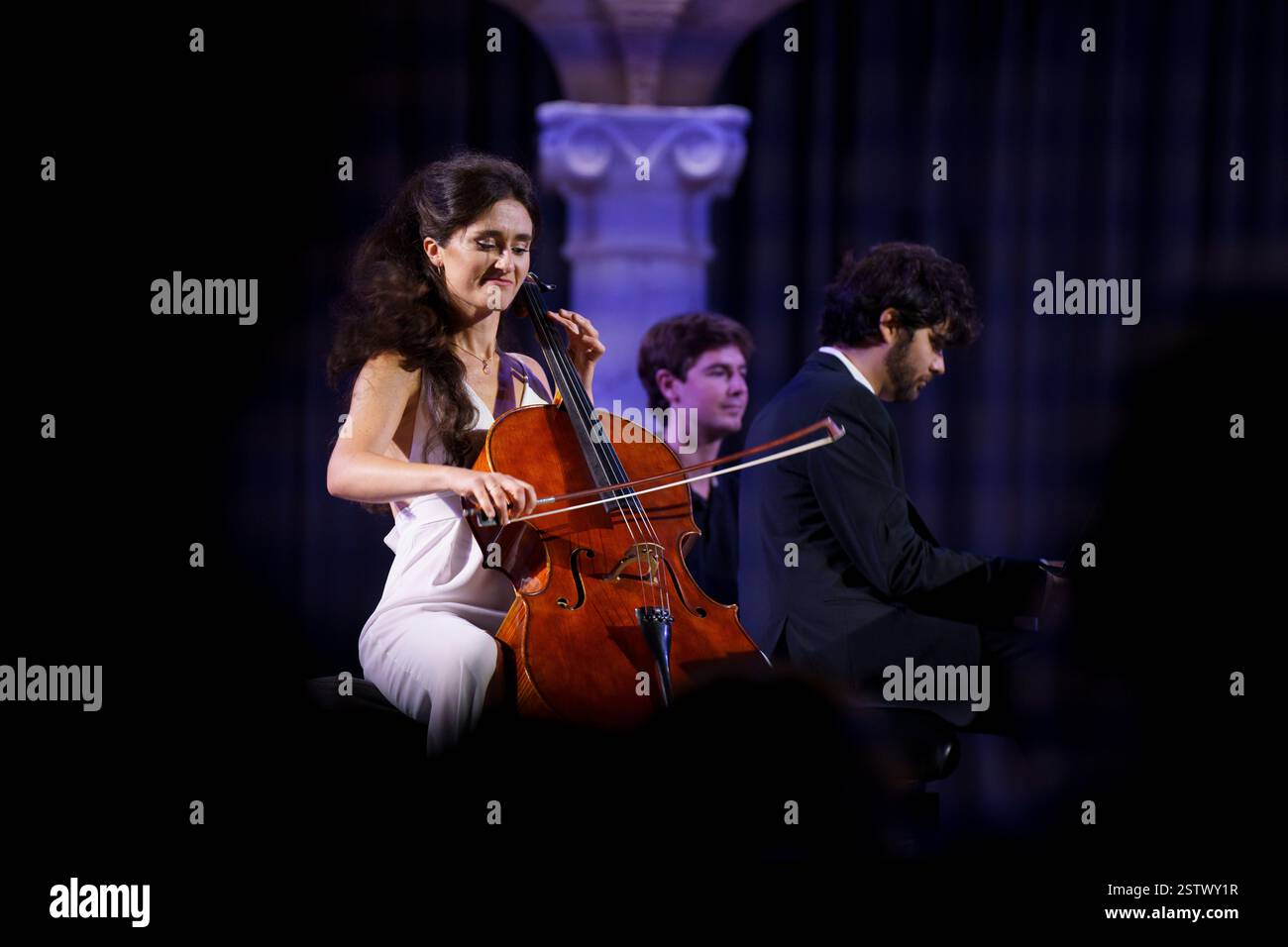Sonates intégrales pour violoncelle et piano Banque D'Images