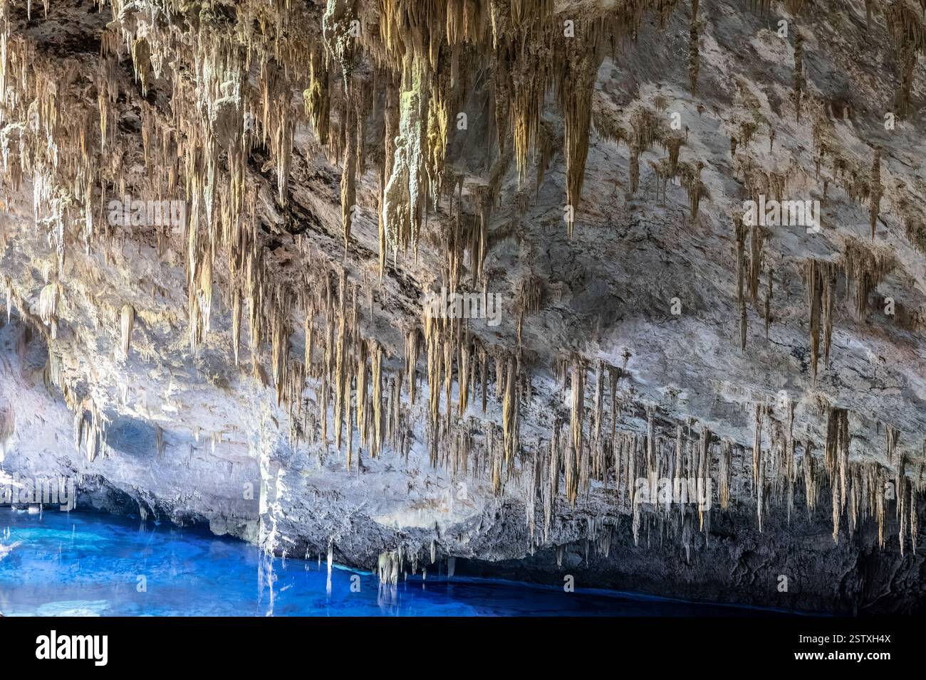 Stalactite, Gruta do Lago Azul, Blue Lake grotte, Bonito, Mato Grosso do Sul, Brésil Banque D'Images