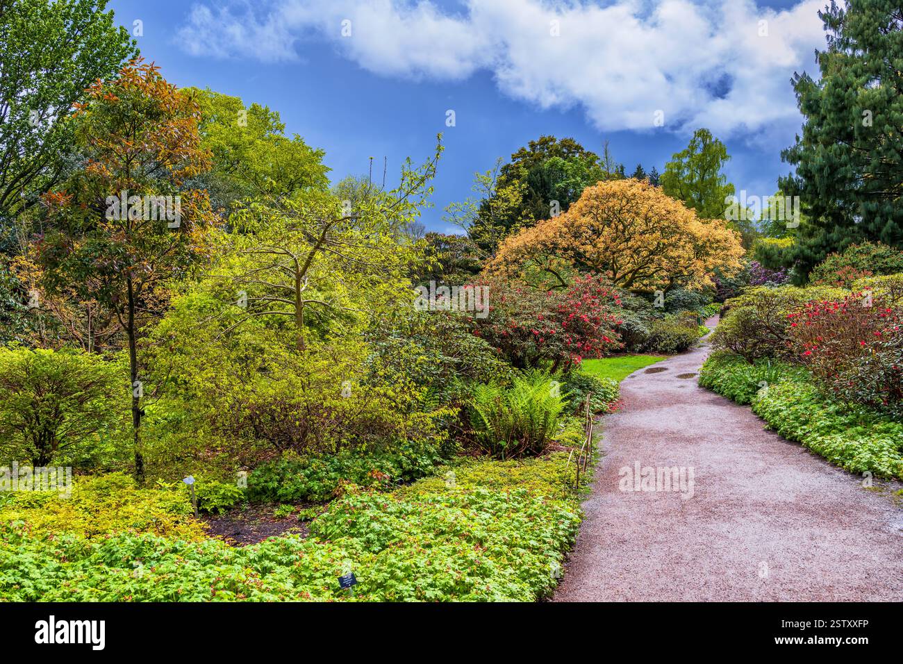 Le Royal Botanic Garden d'Édimbourg au printemps, ville d'Édimbourg, Écosse, Royaume-Uni. Banque D'Images