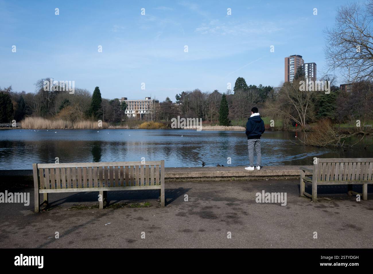 Le lac Vale, Université de Birmingham, Edgbaston, Birmingham, Royaume-Uni Banque D'Images