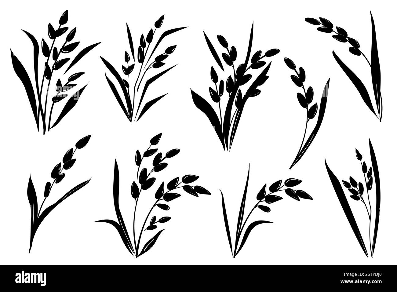 Ensemble de silhouette noire de grain de riz, isolé sur fond blanc. Illustration d'esquisse dessinée à la main vectorielle. Plantes, feuilles, agriculture de récolte de céréales Illustration de Vecteur