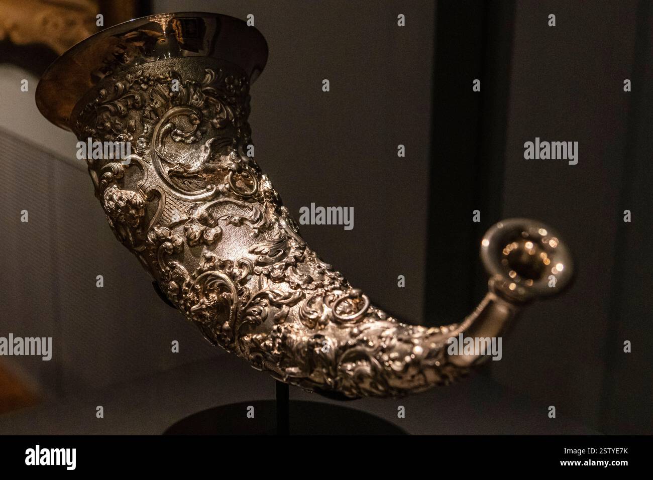 Cor de chasse Banque D'Images