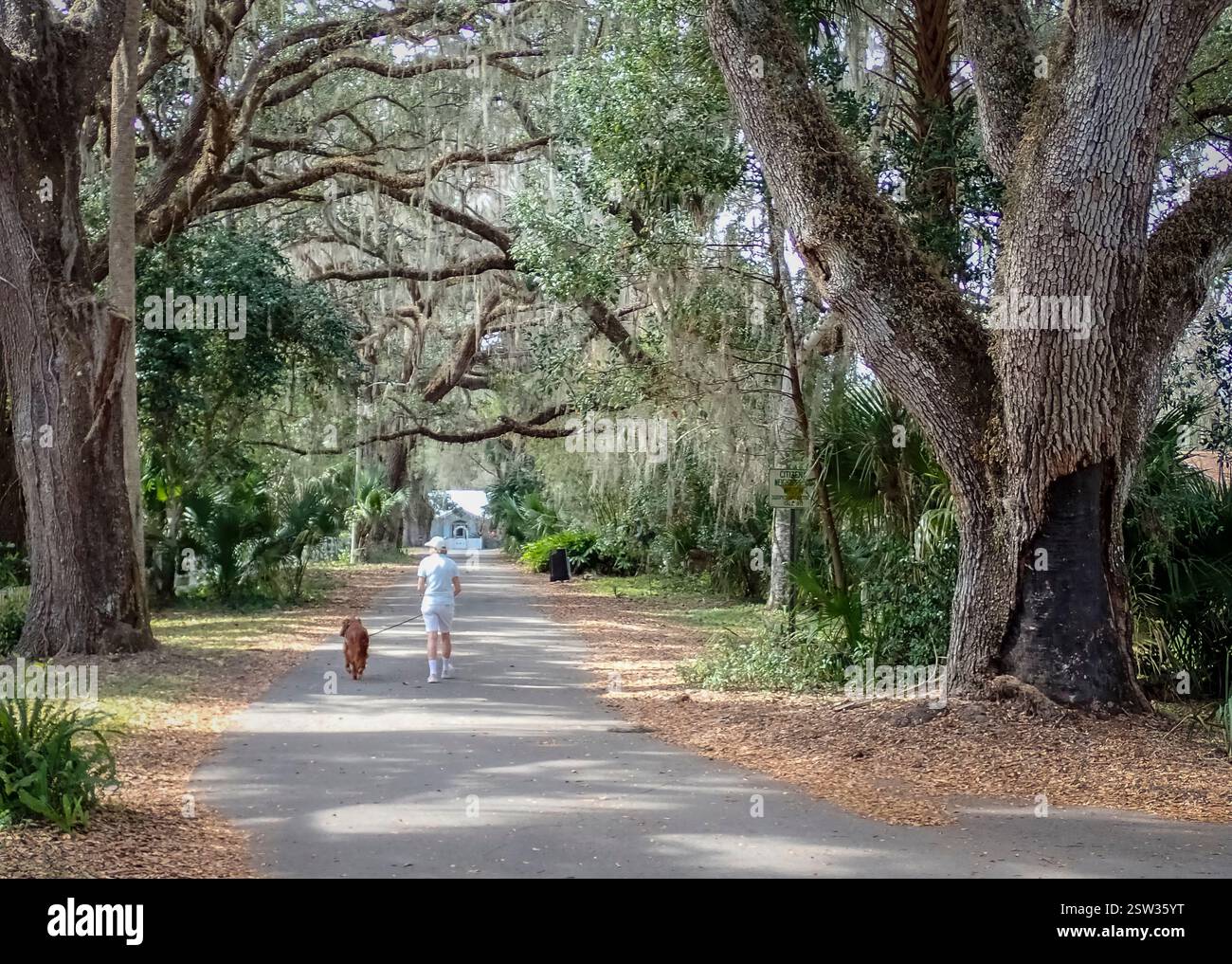 Connell Circle dans la ville de Micanopy dans le comté d'Alachua est la plus ancienne communauté continuellement habitée dans l'intérieur de la Floride aux États-Unis Banque D'Images
