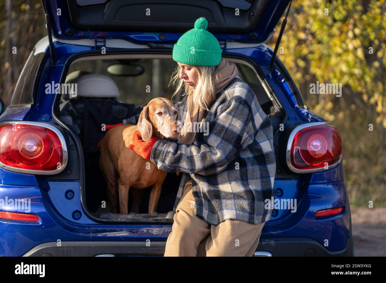 Femme concentrée attacher le chien à la laisse tout en étant assis dans le coffre de la voiture avant de marcher à travers la forêt d'automne Banque D'Images