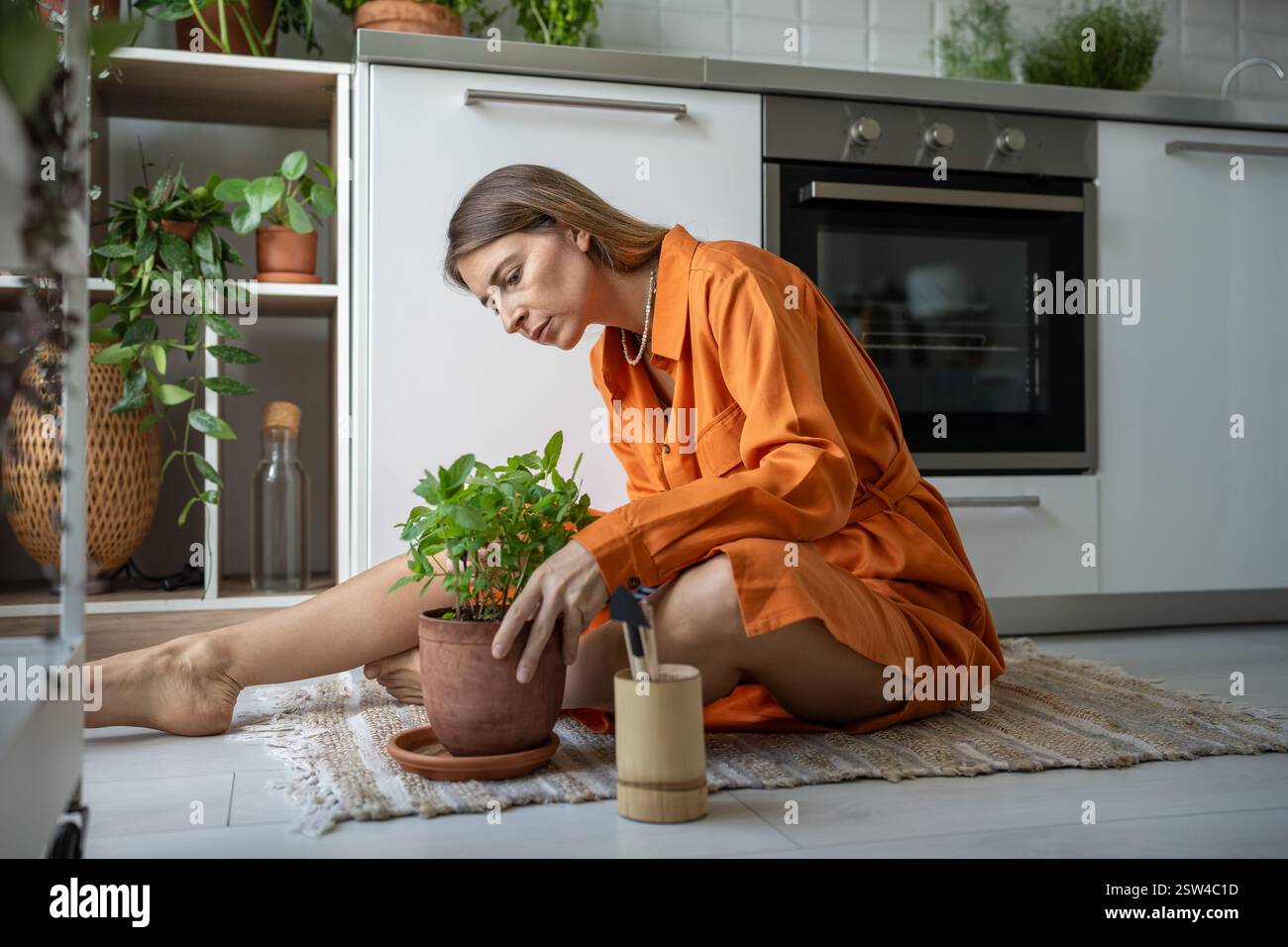 Femme concentrée amoureux des plantes prenant soin des plantes d'intérieur. Un passe-temps mesuré apporte satisfaction, calme Banque D'Images