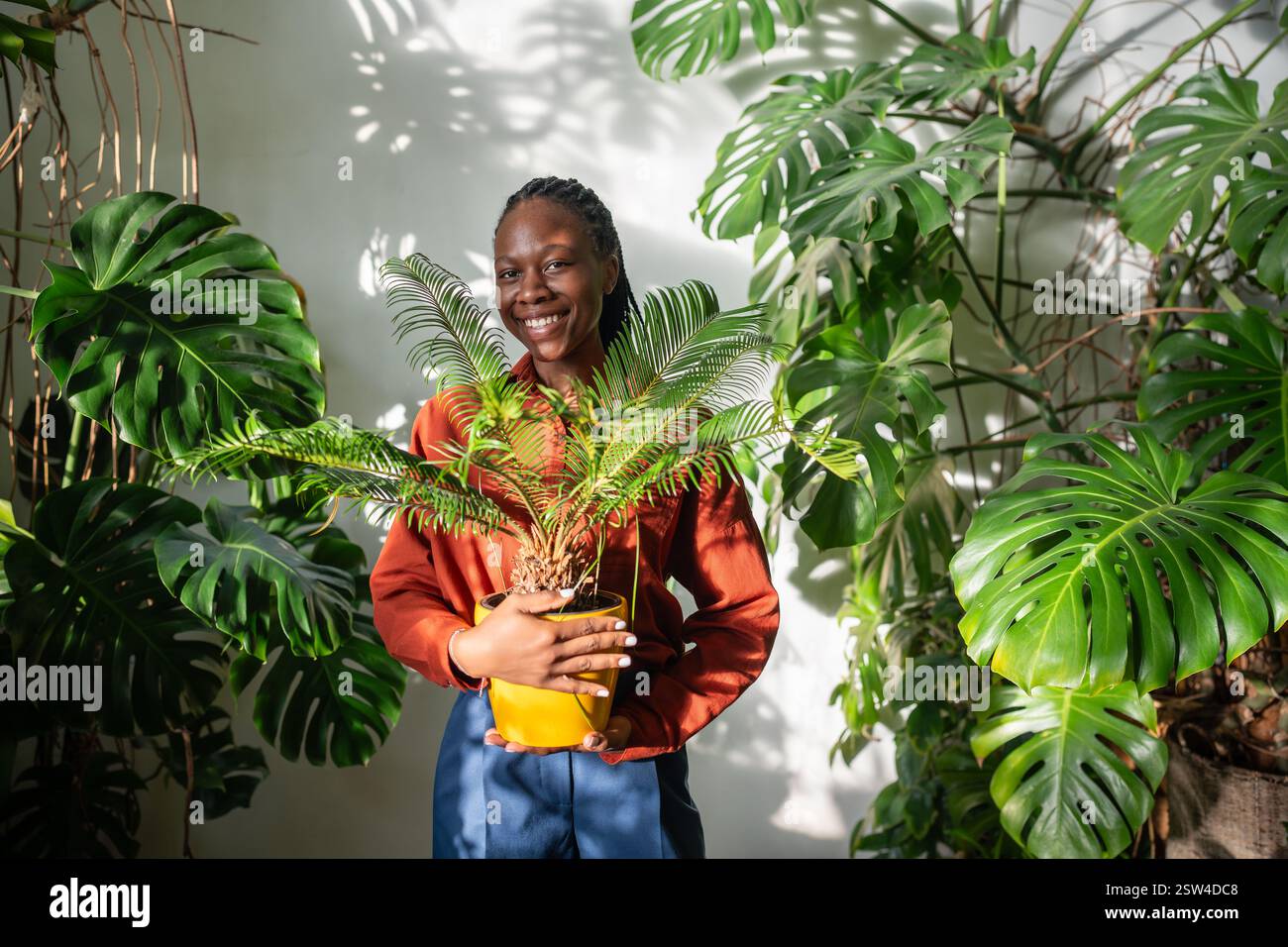 Joyeuse femme noire heureuse amant de plante tenant la plante Cycas dans le pot jaune dans les mains regardez la caméra Banque D'Images