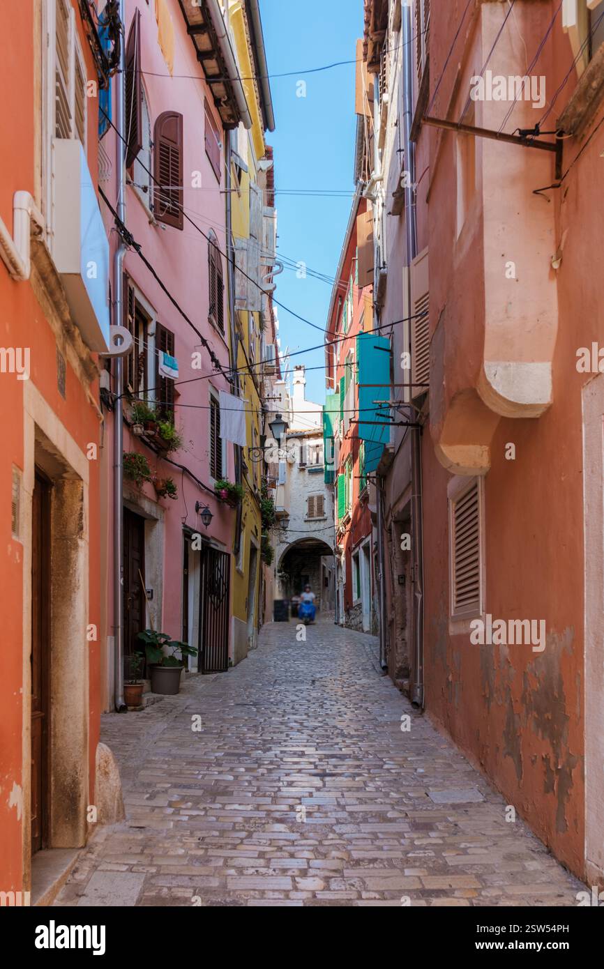 Charmante rue pavée à Rovinj, Croatie, bordée de bâtiments colorés sous un ciel bleu clair Banque D'Images