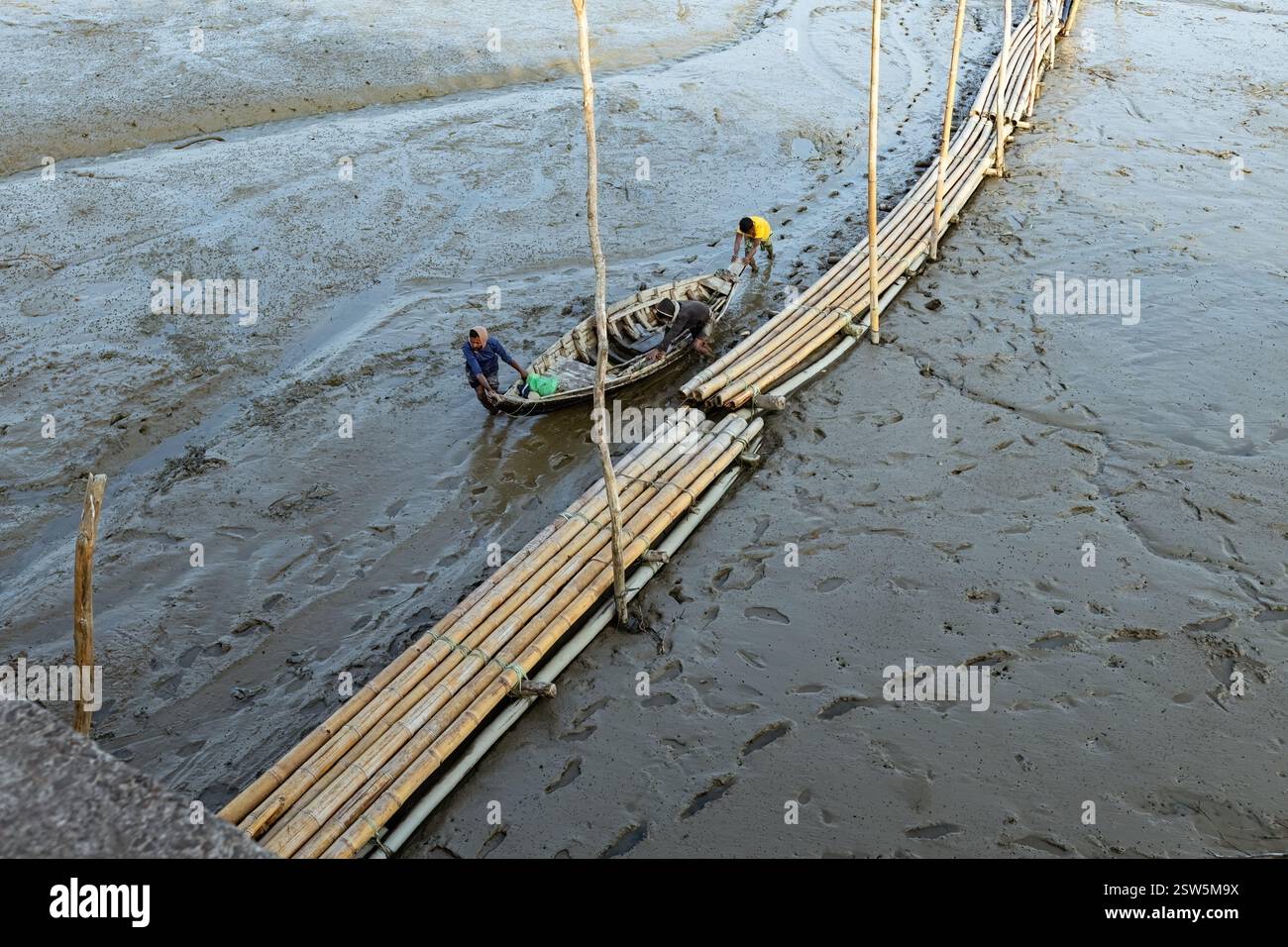 Transport de bambous à Inani Beach à Cox's Bazar Bangladesh Banque D'Images