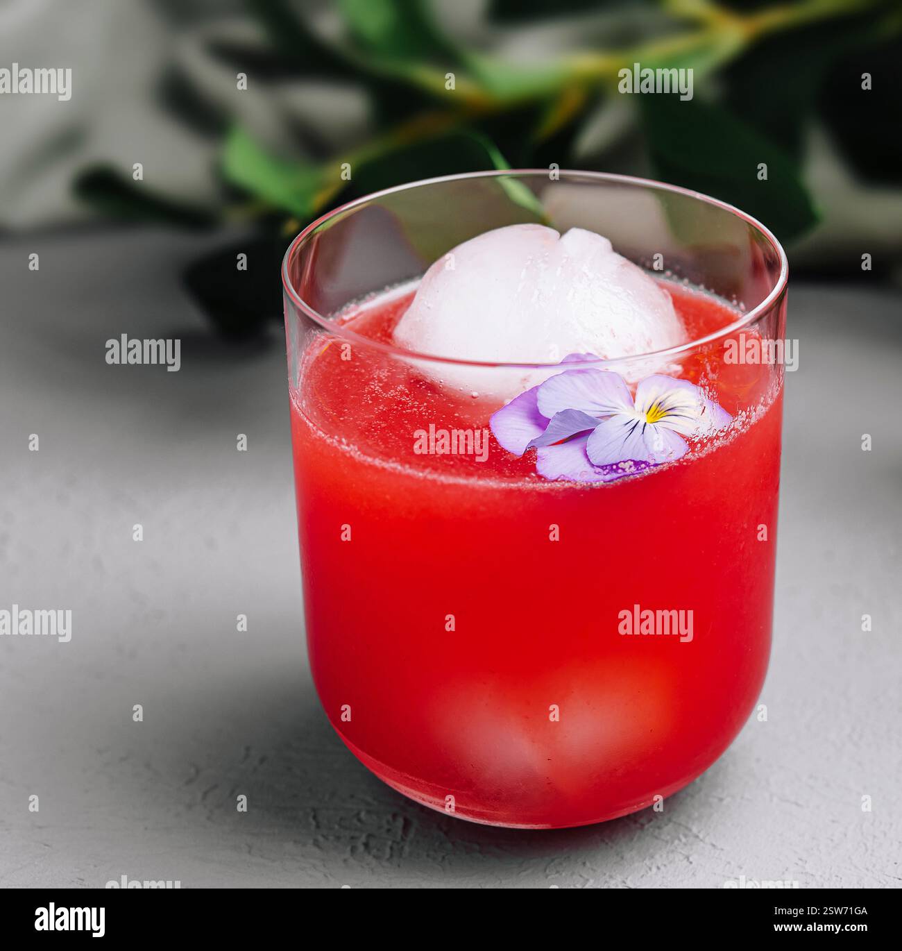 Cocktail rafraîchissant à la pastèque avec boule de glace et fleur comestible Banque D'Images