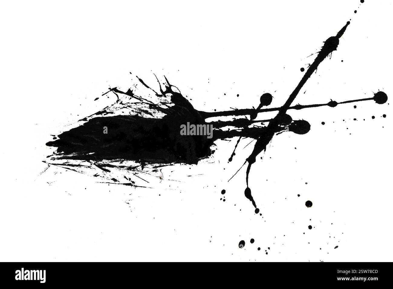 Splat d'encre noire isolé sur fond blanc. fond grunge abstrait Banque D'Images