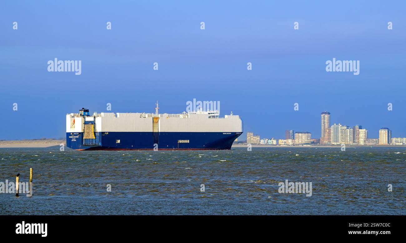 Viking Destiny, transporteur de véhicules / cargo naviguant sur l'Escaut occidental / Westerschelde passé Vlissingen, Zélande, pays-Bas Banque D'Images