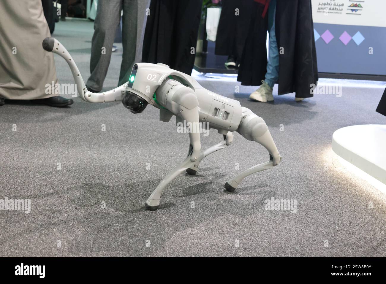 Riyad, Arabie Saoudite. 20 février 2025. Les gens regardent la performance d'un chien robot lancé par la société chinoise Unitree Robotics, à l'exposition future of Media à Riyad, en Arabie Saoudite, le 20 février 2025. Une foule animée a souvent éclaté dans les acclamations et les rires, alors qu'un chien robot chinois captivait les spectateurs avec ses mouvements de danse lors de l'exposition future of Media, qui s'est tenue parallèlement au Forum des médias saoudien à Riyad du mercredi au vendredi. Crédit : Yin Ke/Xinhua/Alamy Live News Banque D'Images Riyad, Arabie Saoudite. 20 février 2025. Les gens regardent la performance d'un chien robot lancé par la société chinoise Unitree Robotics, à l'exposition future of Media à Riyad, en Arabie Saoudite, le 20 février 2025. Une foule animée a souvent éclaté dans les acclamations et les rires, alors qu'un chien robot chinois captivait les spectateurs avec ses mouvements de danse lors de l'exposition future of Media, qui s'est tenue parallèlement au Forum des médias saoudien à Riyad du mercredi au vendredi. Crédit : Yin Ke/Xinhua/Alamy Live News Banque D'Images