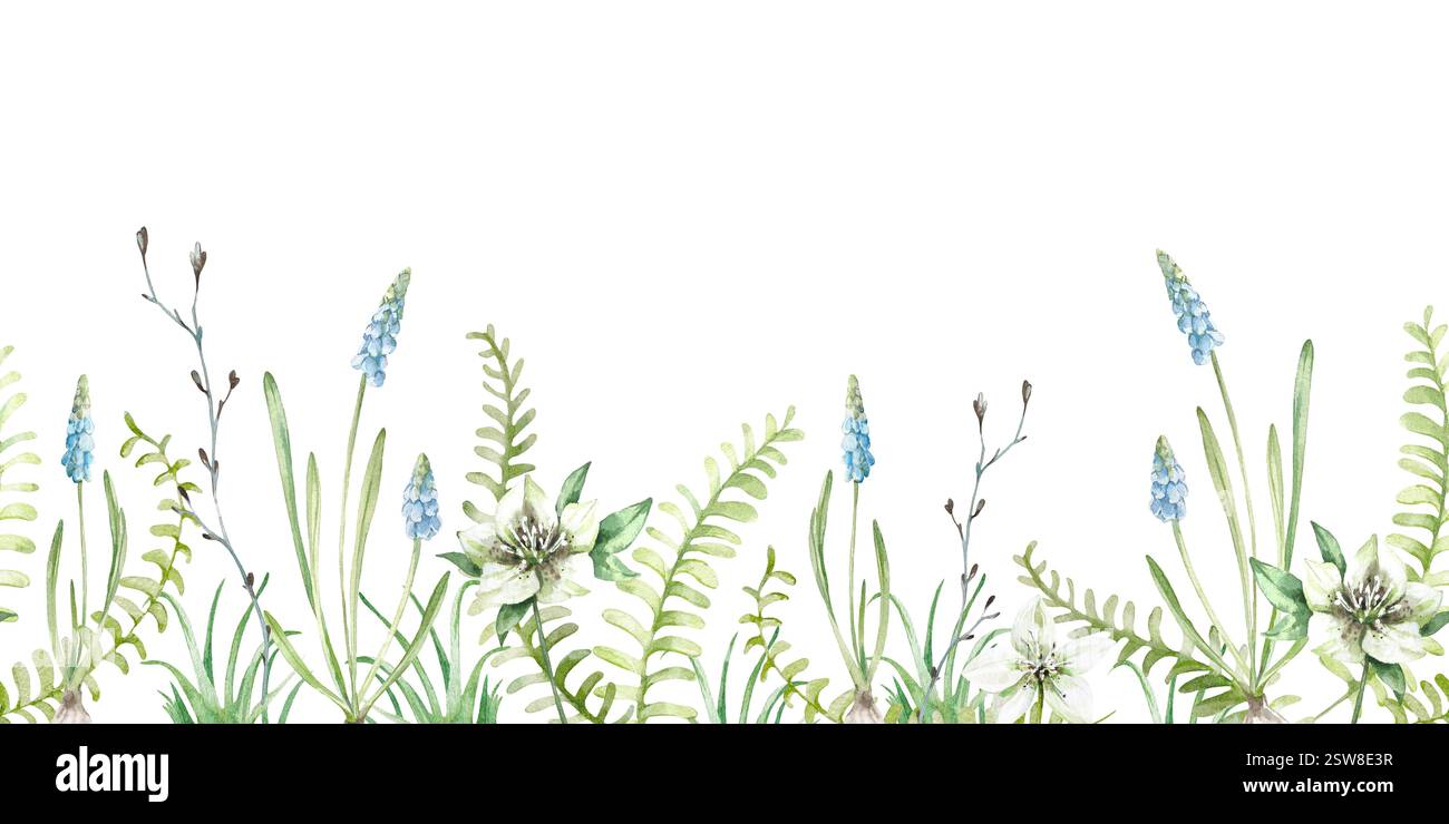 Florale ressort sans couture bordure dessinée à la main par aquarelle. Motif horizontal avec fougère, branche, fleur Banque D'Images