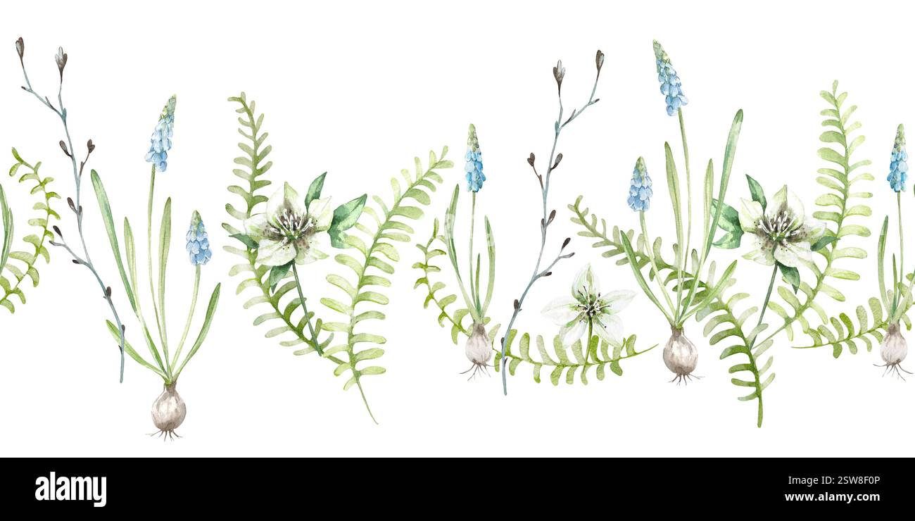 Florale ressort sans couture bordure dessinée à la main par aquarelle. Motif horizontal avec fougère, branche, fleur Banque D'Images