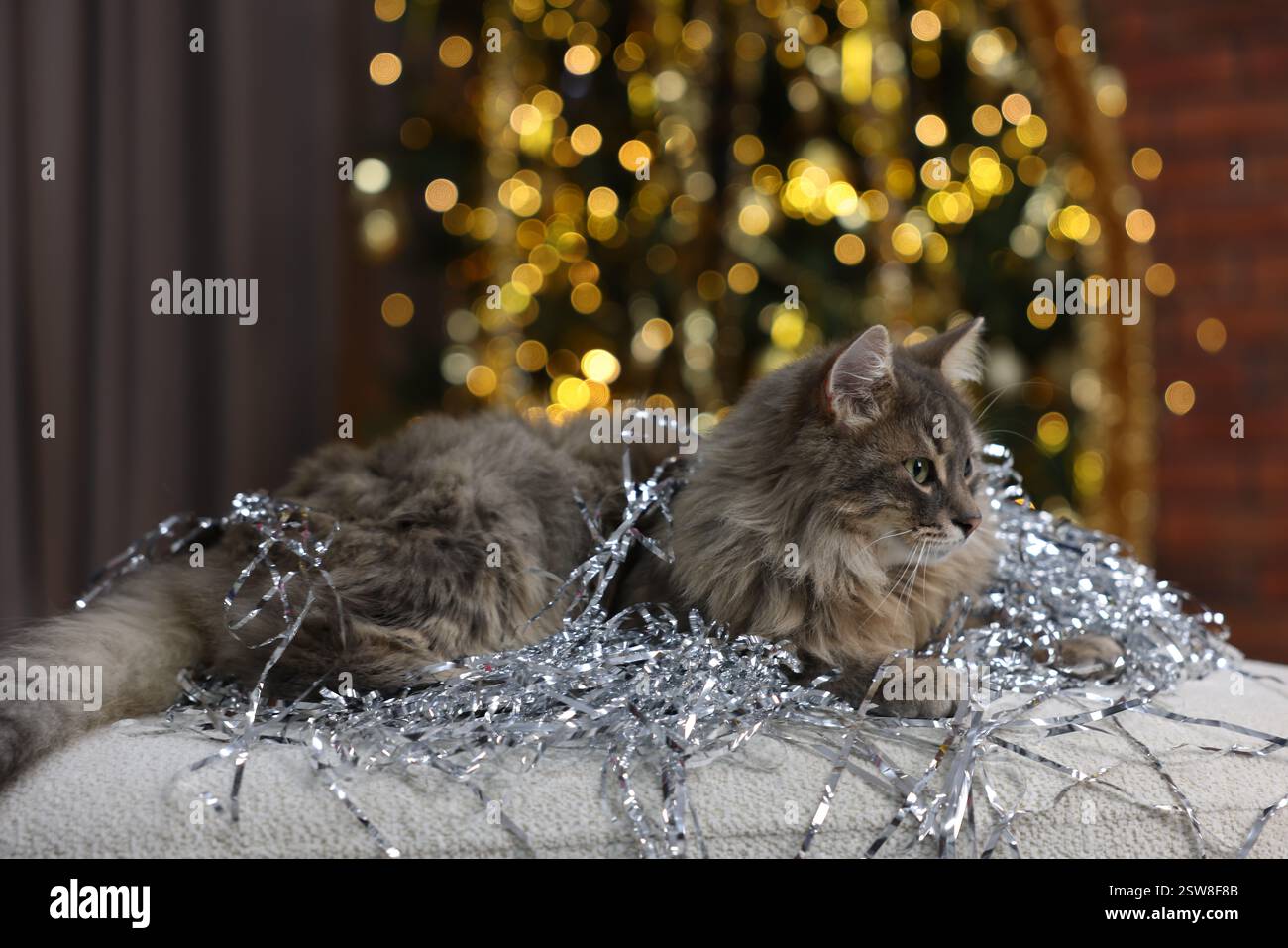 Chat mignon avec guirlandes brillantes sur le pouf contre les lumières floues. Ambiance de Noël Banque D'Images
