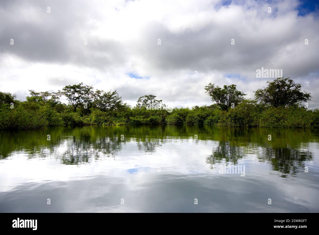 La splendide eau du cratère Azul près de Flores, Guatemala Banque D'Images