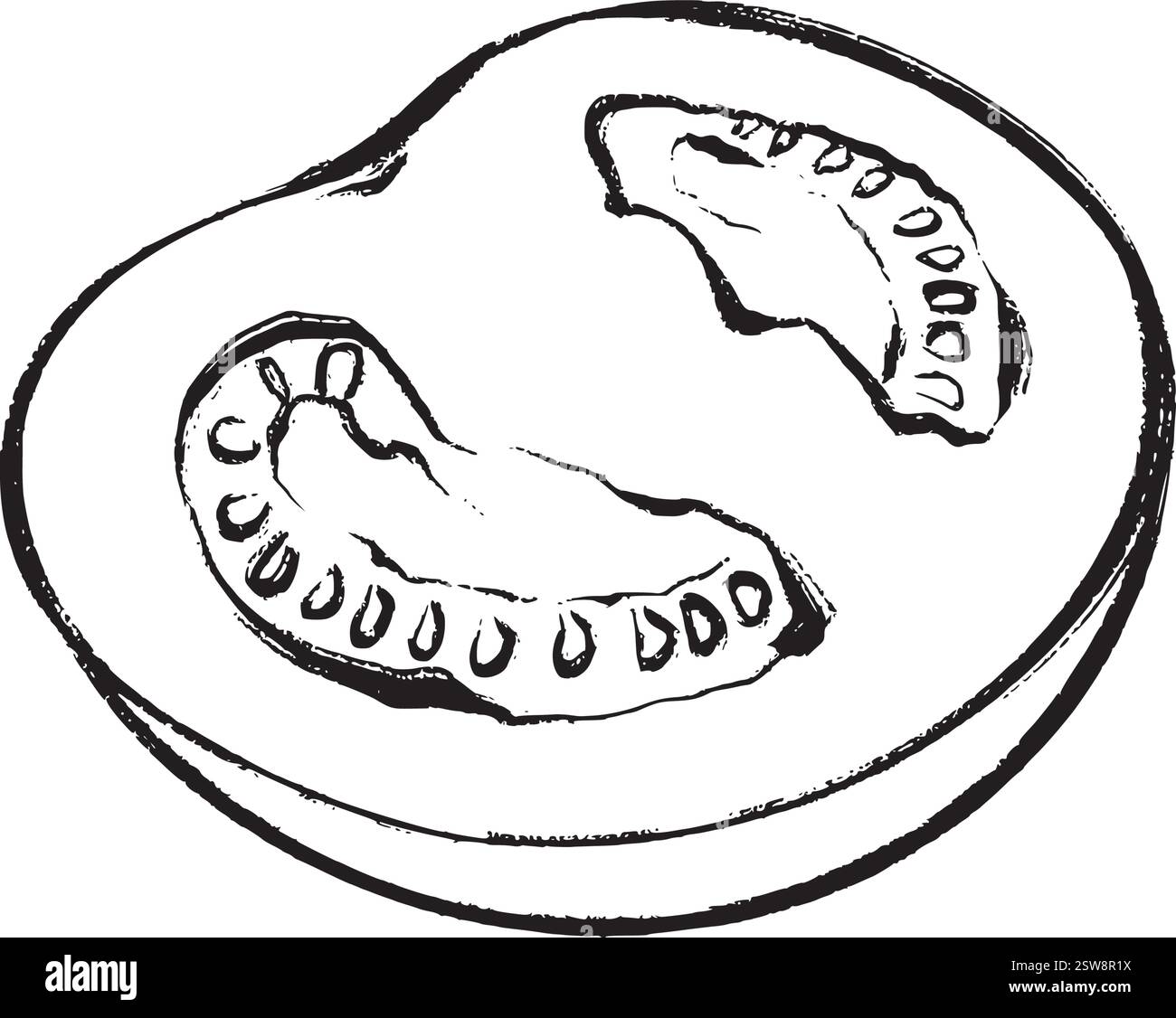 Illustration vectorielle en noir et blanc d'une moitié d'une tomate dans le style croquis. Convient pour la conception, l'impression, l'emballage et la décoration. Illustration de Vecteur